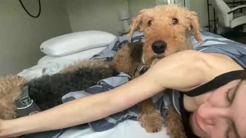 Effyyyyy online show from 27, 11, 2025