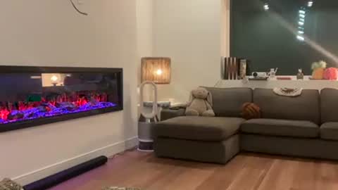 Snapshot of peacheekitty chatting on 1, 4, 2026 Effyyyyy online show from 1, 4, 2026