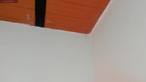 Snapshot of pear__moon chatting on 17, 4, 2026 LILLY online show from 17, 4, 2026