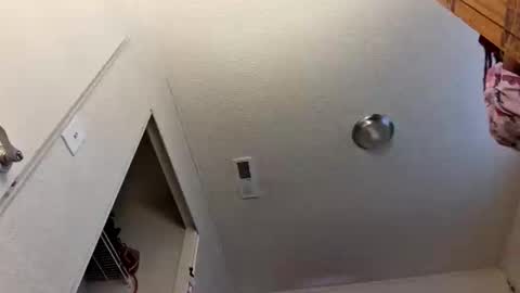 Snapshot of pebblessmith453 chatting on 10, 1, 2026 pebblessmith453 online show from 10, 1, 2026