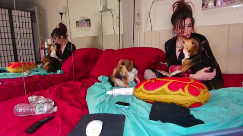 Snapshot of peggingattiffanys chatting on 15, 12, 2024 Tiffany Von-Pierre online show from 15, 12, 2024
