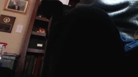 pem1650 online show from 12, 1, 2025