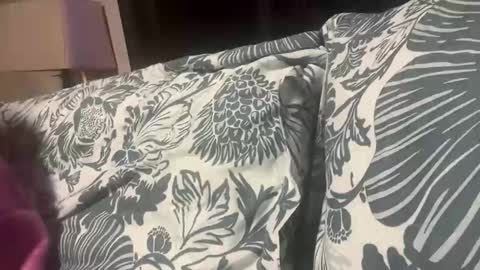 Snapshot of penutbutter691 chatting on 19, 11, 2025 penutbutter691 online show from 19, 11, 2025