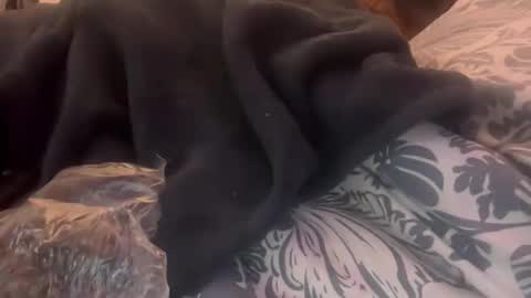 Snapshot of penutbutter691 chatting on 23, 2, 2026 penutbutter691 online show from 23, 2, 2026