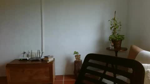 Snapshot of pepitt45 chatting on 4, 4, 2026 Megan online show from 4, 4, 2026