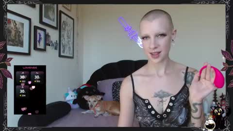 Pepper Dagger online show from 20, 9, 2025