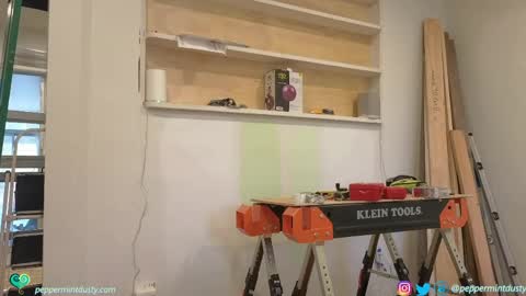 Snapshot of peppermintdusty chatting on 11, 3, 2026 Peppermint and Dusty online show from 11, 3, 2026