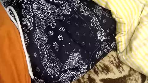 perdido4_20 online show from 5, 1, 2025