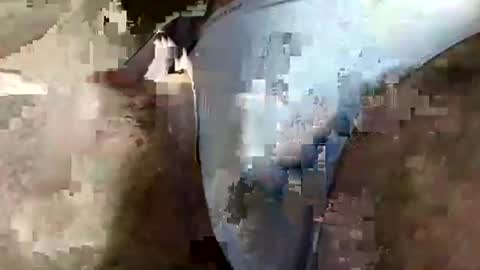 Snapshot of perfect_ftm chatting on 3, 4, 2026 perfectFTM online show from 3, 4, 2026