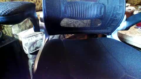 perfecto337 online show from 11, 9, 2025