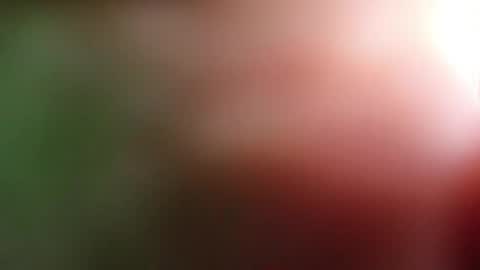 Snapshot of perla_lovely chatting on 1, 5, 2026 perla_lovely online show from 1, 5, 2026