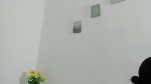 Perla mistc online show from 10, 4, 2026