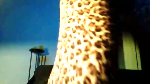 Snapshot of permageil_nackt_alt chatting on 26, 2, 2026 permageil_nackt_alt online show from 26, 2, 2026