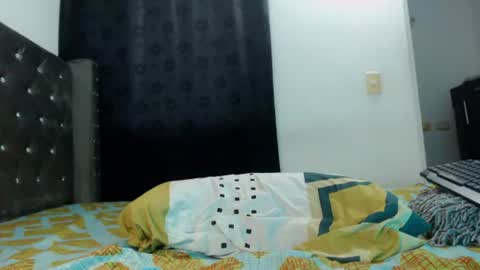 Snapshot of perseus_bwc chatting on 10, 6, 2026 Perseus online show from 10, 6, 2026