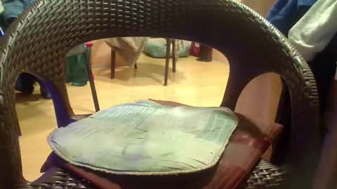 Snapshot of peta000007 chatting on 4, 12, 2025 peta000007 online show from 4, 12, 2025