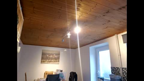 Snapshot of pete_le_meat chatting on 12, 3, 2026 pete_le_meat online show from 12, 3, 2026