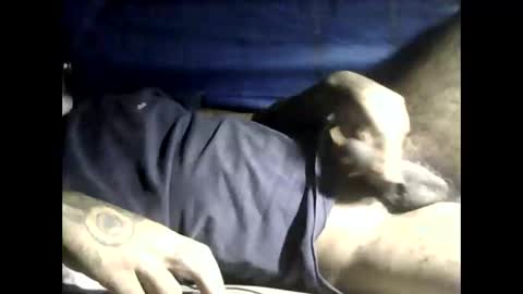 peterson1978 online show from 16, 11, 2025