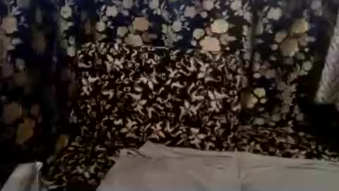 Snapshot of petiteasian_boy chatting on 13, 7, 2026 cute vir online show from 13, 7, 2026