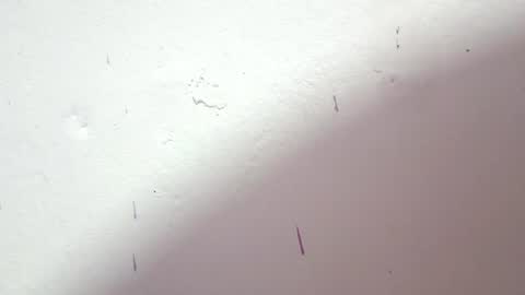 Snapshot of petiteivoryqueen chatting on 3, 7, 2026 danna online show from 3, 7, 2026