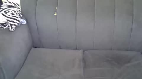 Snapshot of petitekittyy chatting on 11, 6, 2026 Kitty online show from 11, 6, 2026