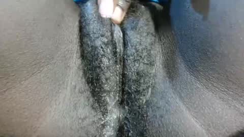 Snapshot of petiteme1 chatting on 21, 1, 2025 petiteme1 online show from 21, 1, 2025