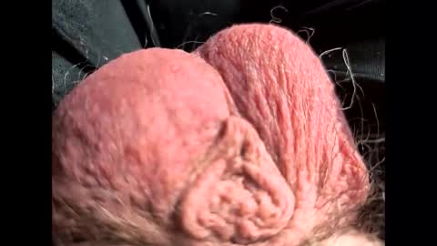 petrol63102 online show from 22, 2, 2026