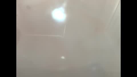 petrol63102 online show from 4, 3, 2026