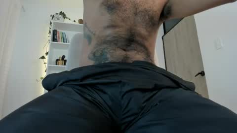 Pettercat online show from 3, 8, 2026