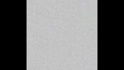 peytonn_monroe online show from 2, 3, 2026