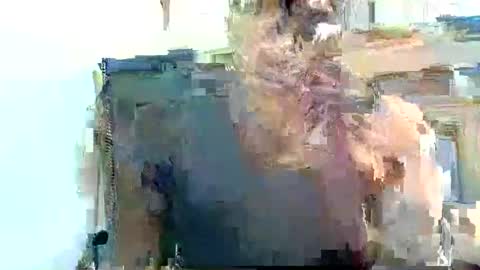 Pfani online show from 19, 4, 2026