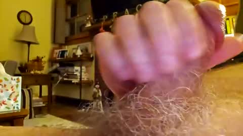 Snapshot of phil719 chatting on 17, 12, 2024 Phil online show from 17, 12, 2024