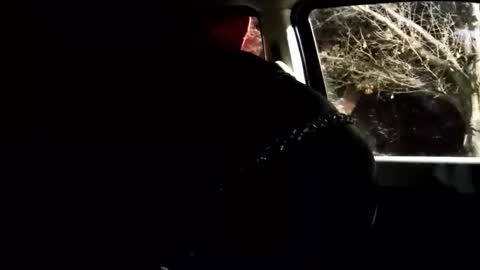 Snapshot of phillipdee chatting on 1, 2, 2026 phillipdee online show from 1, 2, 2026