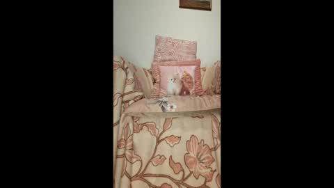 philos1979 online show from 19, 1, 2026