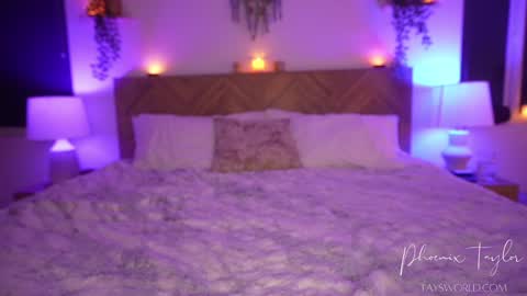 Snapshot of phoenix_taylor chatting on 23, 2, 2026 PHOENIX TAYLOR online show from 23, 2, 2026