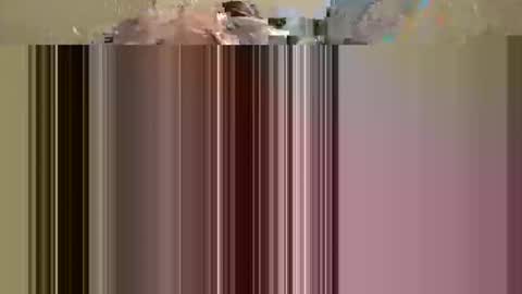 Snapshot of phoenixwap chatting on 25, 12, 2024 phoenixwap online show from 25, 12, 2024