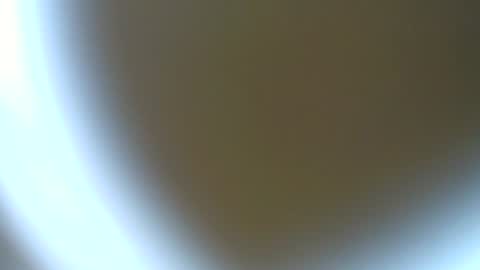 Snapshot of piccoloduro chatting on 24, 6, 2026 piccoloduro online show from 24, 6, 2026