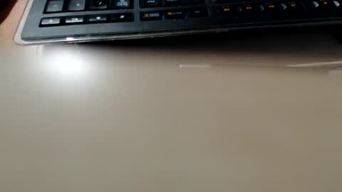 pier49x online show from 24, 2, 2025