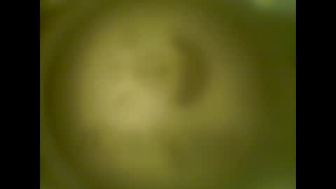 Snapshot of pierrecard1 chatting on 13, 10, 2025 pierrecard1 online show from 13, 10, 2025