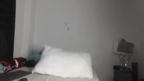 Snapshot of pikoro_gomez chatting on 5, 3, 2025 pikoro_gomez online show from 5, 3, 2025