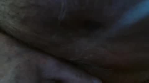 Pit online show from 23, 2, 2025