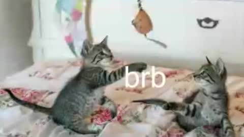Snapshot of pink_girl0n chatting on 25, 6, 2026 Kitty online show from 25, 6, 2026