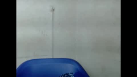 pinkxsugar online show from 10, 9, 2025