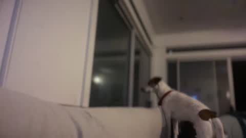Snapshot of planetscottychannel25 chatting on 23, 7, 2026 planetscottychannel25 online show from 23, 7, 2026