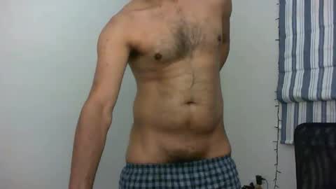 platino3026 online show from 25, 11, 2025