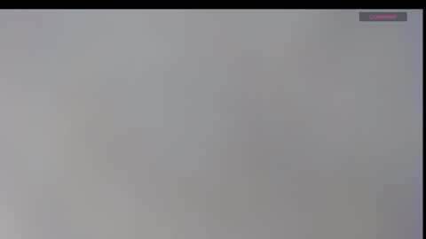 playboypetit online show from 8, 1, 2025