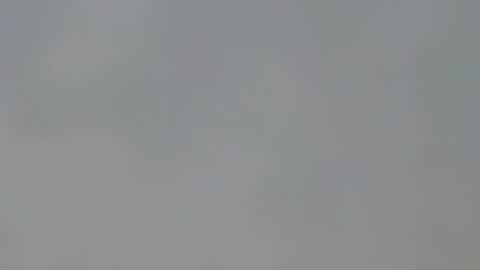 playboypetit online show from 15, 1, 2025