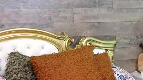 PlayfulSamy online show from 13, 1, 2025