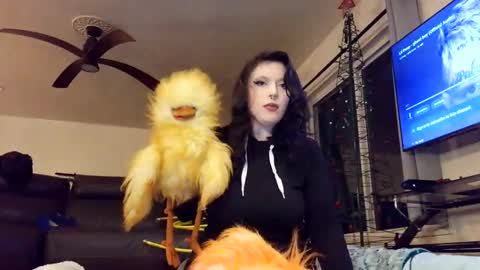 Snapshot of pleasantdinosaurus7537 chatting on 13, 1, 2026 pleasantdinosaurus7537 online show from 13, 1, 2026