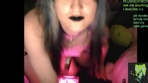 Snapshot of plushcatboy chatting on 7, 4, 2026 plushcatboy online show from 7, 4, 2026