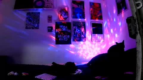 Snapshot of plutonbluemoon_999 chatting on 30, 6, 2026 online show from 30, 6, 2026